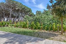 Lejlighed i Calella de Palafrugell - 200 - A-Bx-1