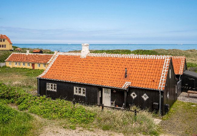 Ferienhaus in Skagen - 10-1020