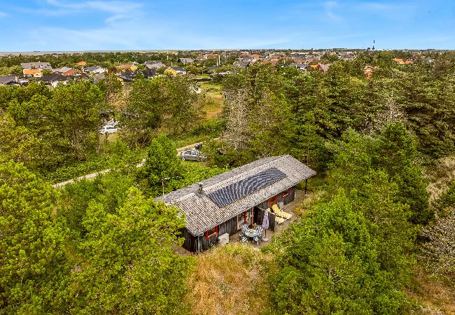 Ferienhaus in Skagen - 10-1108