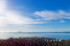 家 に Skagen - 10-0602