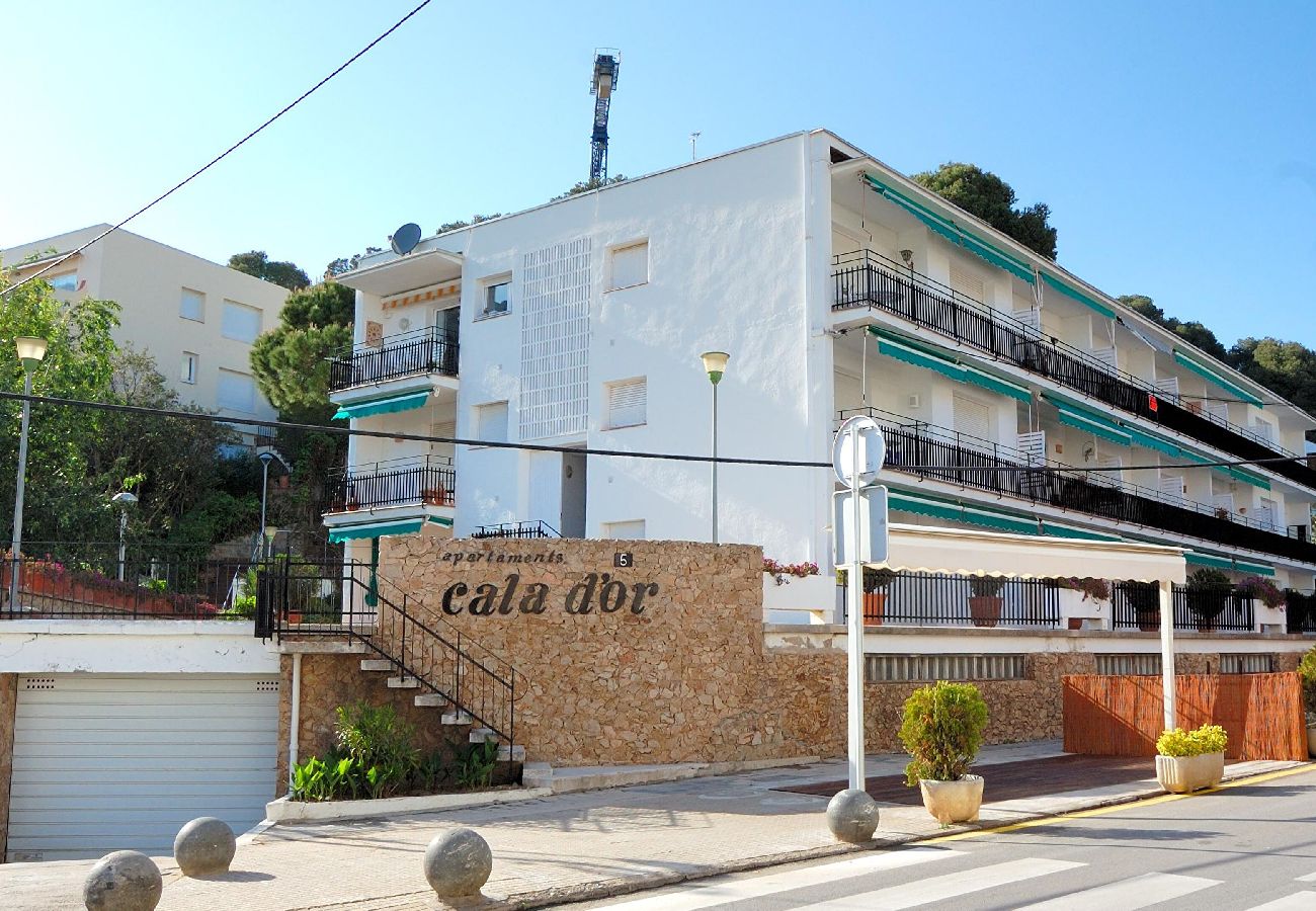 Departamento en Tamariu - 421 - Bx.14