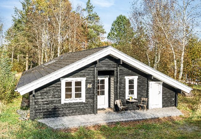 Dom w Ålbæk - 10-1529