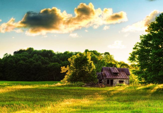 Apartment in Nice - My Home In - 19