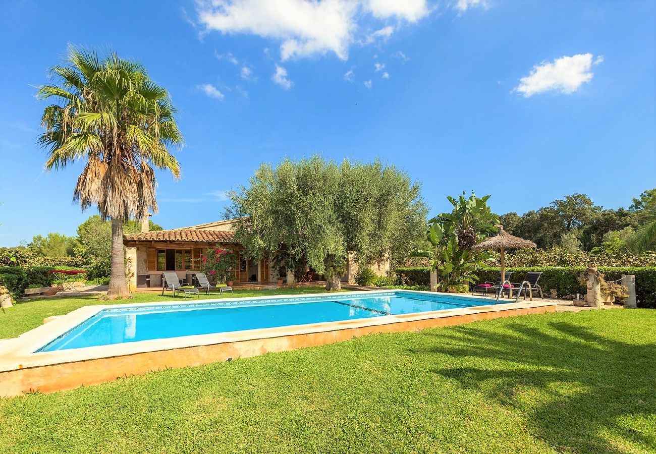 Villa in Palma de Mallorca - La Taulera