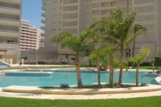 Apartment in Monesterio - Zahara
