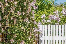 House in Skagen - 10-0315