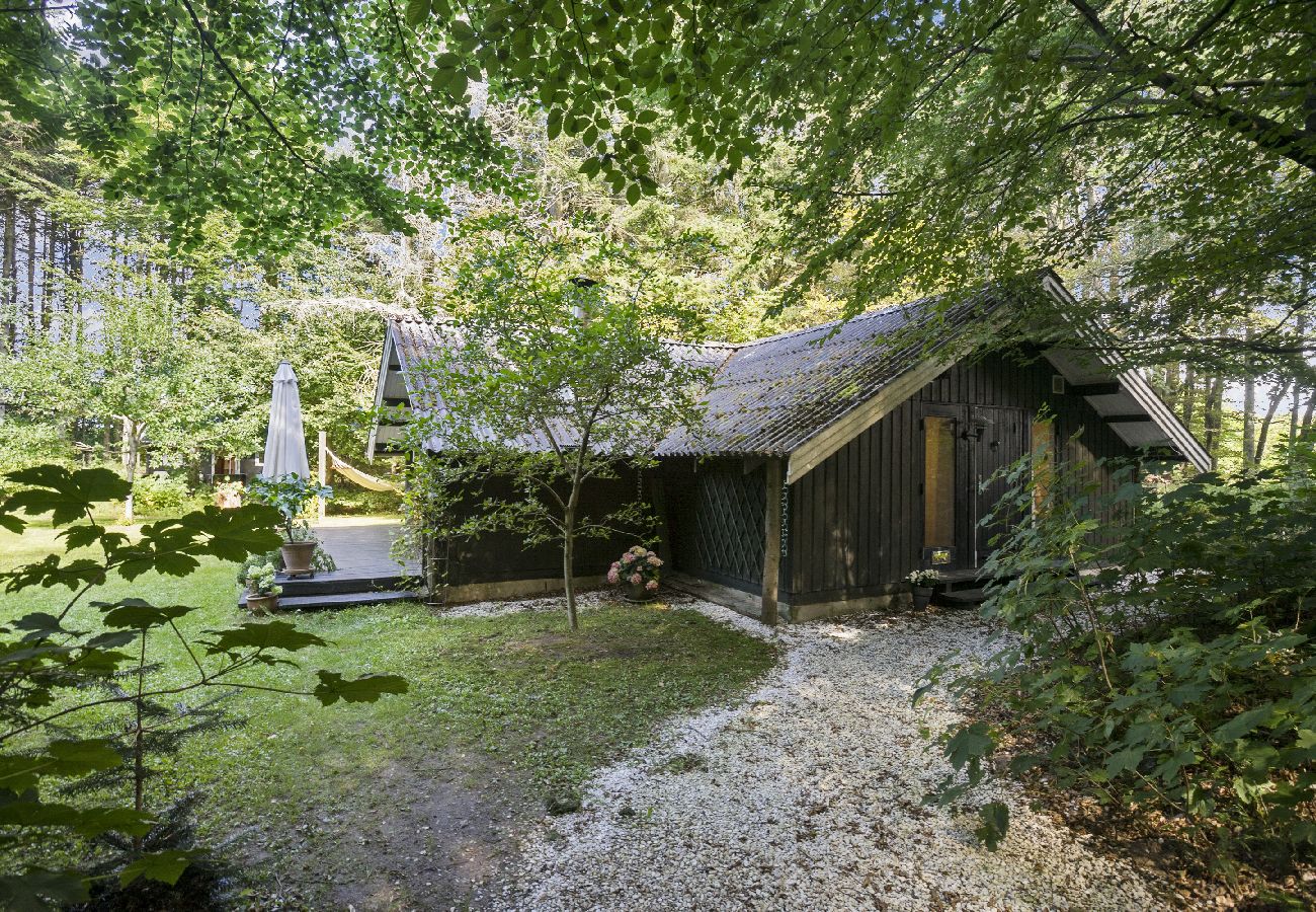 House in Løkken - 11-1063