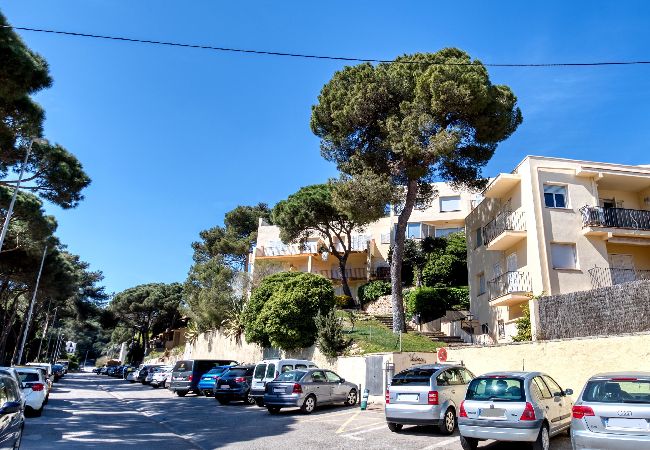 Apartment in Tamariu - 490 - 12